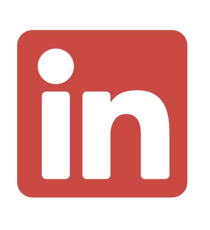 Light-coloured LinkedIn logo